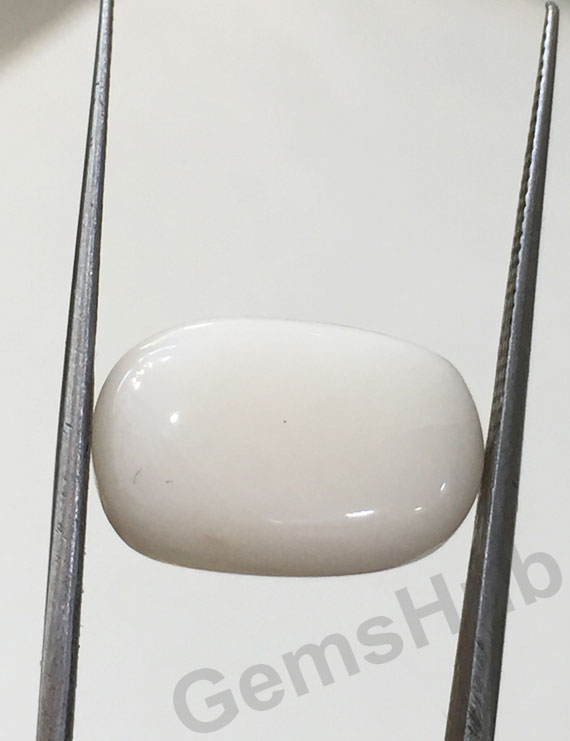 8.06 ct Natural Certified  White Coral/सफ़ेद मूंगा